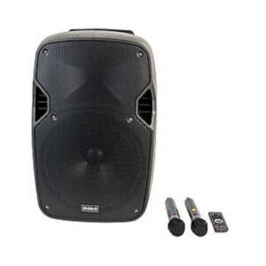 מערכת קריוקי ניידת STUDIO 15 בגודל 15 אינץ' 500W עם 2 מיקרופונים אלחוטיים שחור מבית Richtech